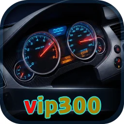 vip300